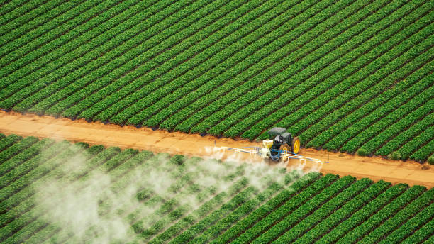 Pest Prevention Services in Pleasant Run Farm, OH
