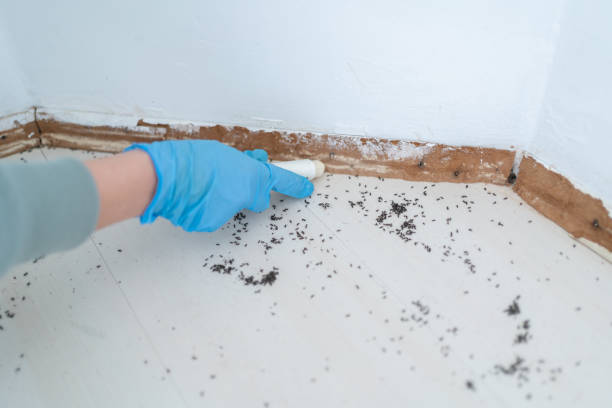 Best Commercial Pest Control Services  in Pleasant Run Farm, OH