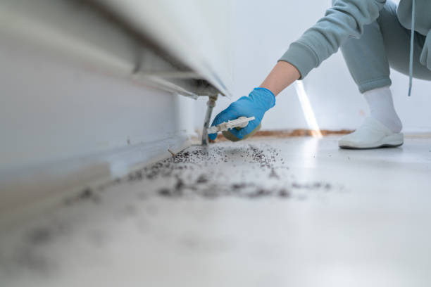 Best Insect Control  in Pleasant Run Farm, OH